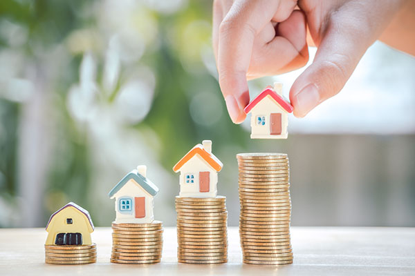 Investment & Finance Services