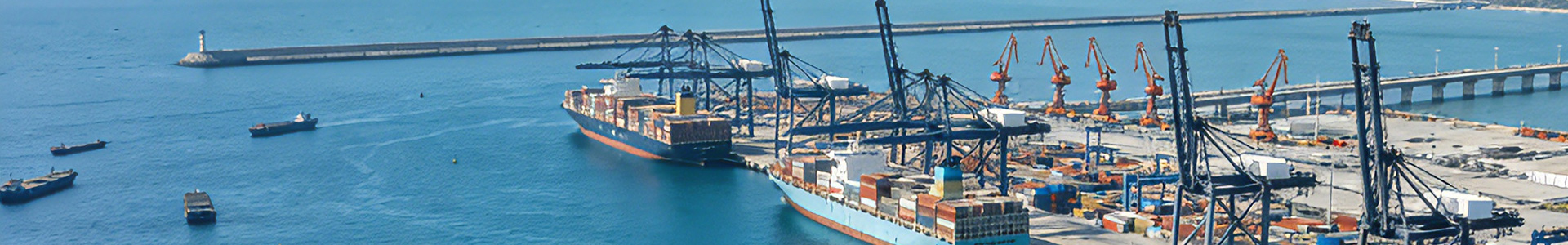 Free Trade Port Policy