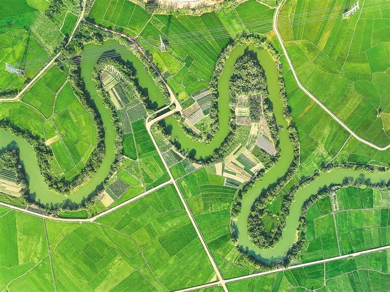 Where the River Bends 36 Times: A Traveler’s Guide to Haikou’s Hidden Wetland Paradise